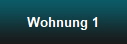 Wohnung 1
